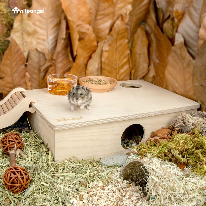 Niteangel Multi-Chamber Hamster House Maze: - Multi-Room Hideouts & Tunnel Exploring Toys for Hamster Gerbils Mice Lemmings (6-Room Small) - Image 3